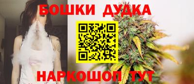 прущие крисы Будённовск