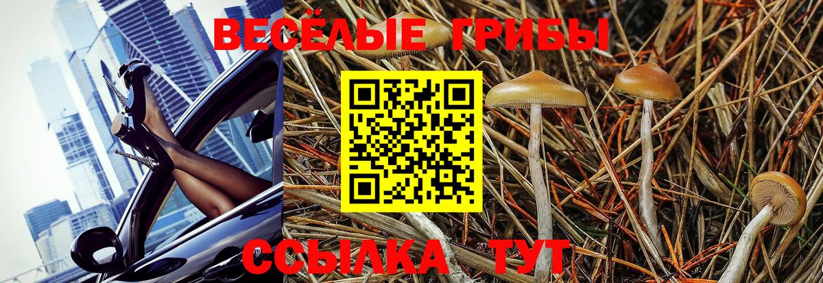 Галлюциногенные грибы мухоморы Тула